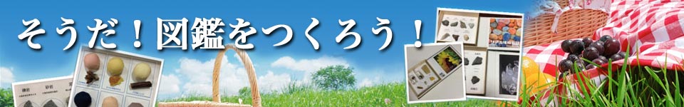 そうだ!標本をつくろう!