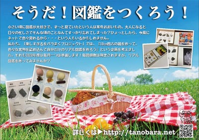 そうだ!図鑑をつくろう!イメージ画像